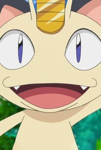 Pokémon the Series: XY, Episode 4 - Rotten Tomatoes