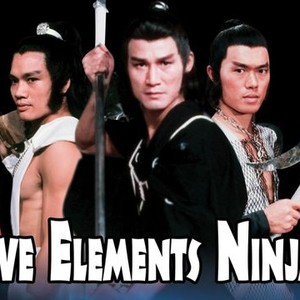 Five Element Ninjas photo 13