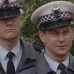 Blue Heelers - Rotten Tomatoes