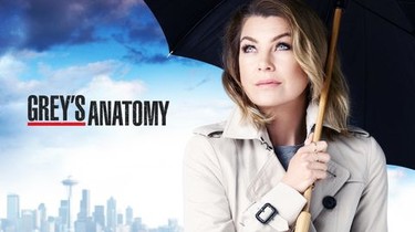 Grey's anatomy season 12 live stream on sale