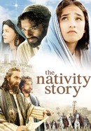 The Nativity Story poster image