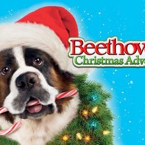 "Beethoven&#39;s Christmas Adventure photo 10"