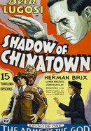 Shadow of Chinatown poster image