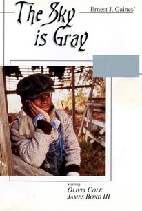 Poster for The Sky Is Gray