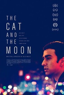 The Cat and the Moon poster