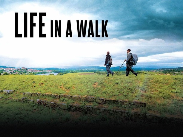 Life in a Walk | Rotten Tomatoes