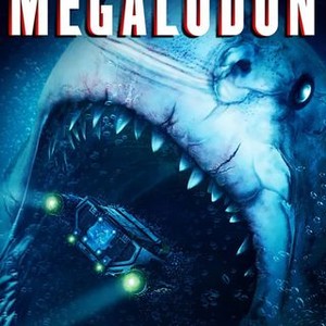 Megalodon photo 13