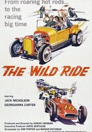 The Wild Ride poster image