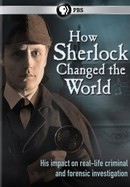 How Sherlock Changed the World poster image