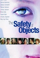The Safety of Objects poster image