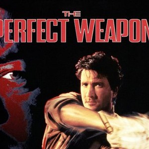 The Perfect Weapon photo 6