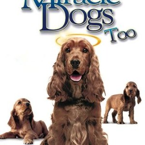 Miracle Dogs Too photo 7