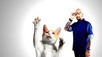 My Cat From Hell Season 8 Episode 1 Rotten Tomatoes