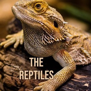 The Reptiles - Rotten Tomatoes