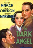 The Dark Angel poster image