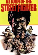 Return of the Street Fighter poster image