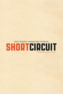 Short Circuit (Series)