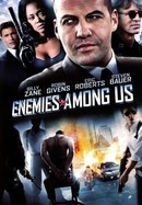 Enemies Among Us poster image
