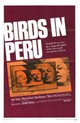 Birds in Peru (Les Oiseaux Vont Mourir Au Peru)