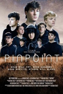 Pinpoint Highlights Pinpoint | Rotten Tomatoes