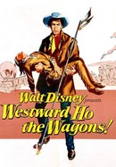 Westward Ho the Wagons! poster image
