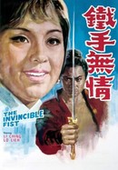 The Invincible Fist poster image