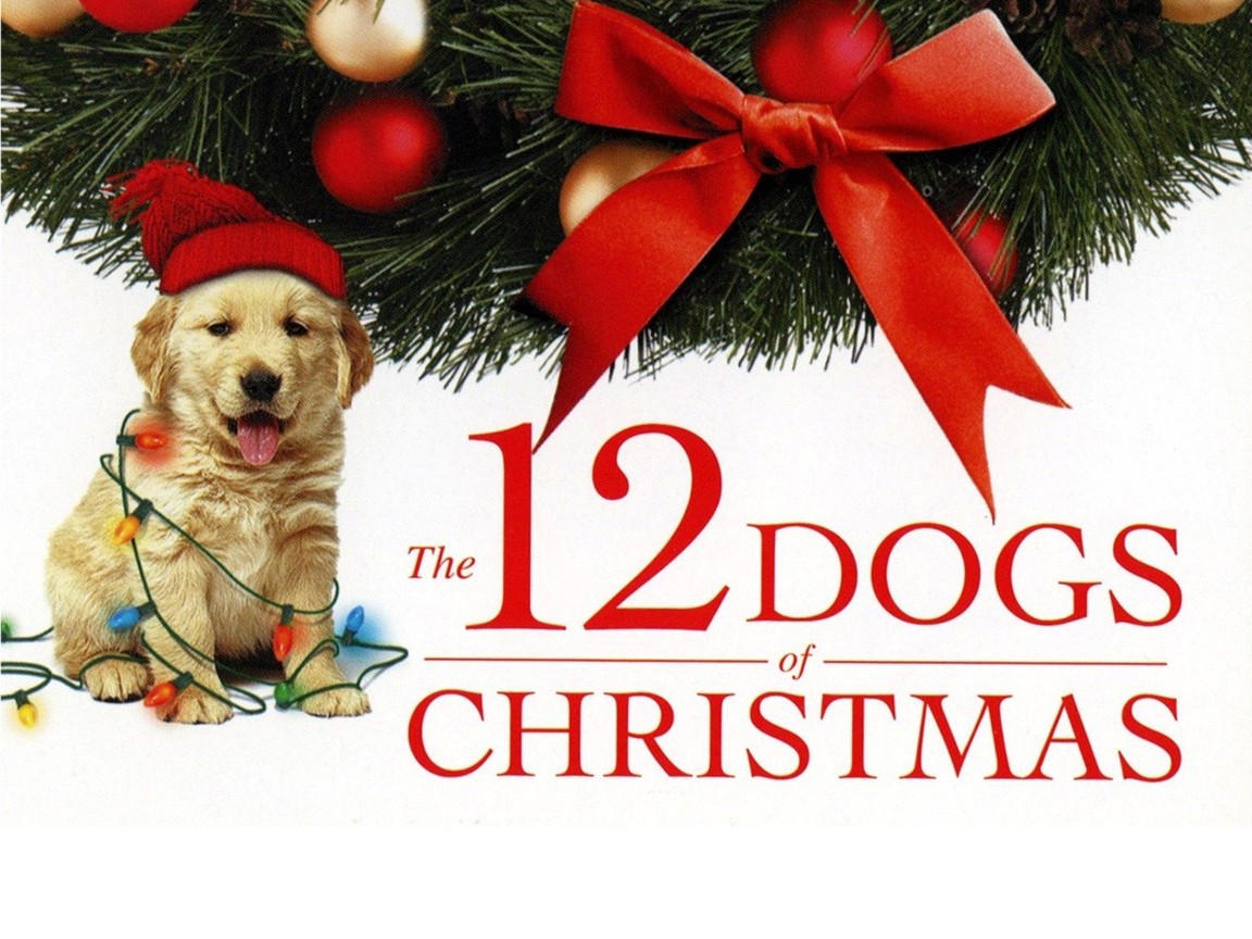 The 12 Dogs Of Christmas