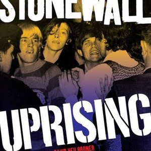 Stonewall Uprising (2010) photo 14