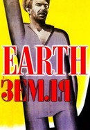 Earth poster image