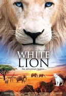 White Lion poster image