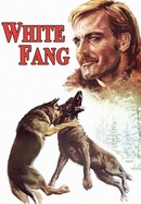 White Fang poster image