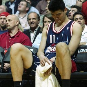 The Year of the Yao (2004) photo 12