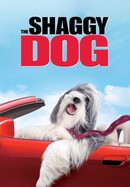 The Shaggy Dog poster image