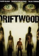 Driftwood poster image