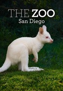 The Zoo: San Diego poster image