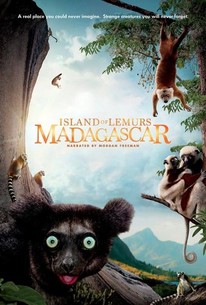 Poster for Island of Lemurs: Madagascar