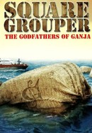 Square Grouper: The Godfathers of Ganja poster image