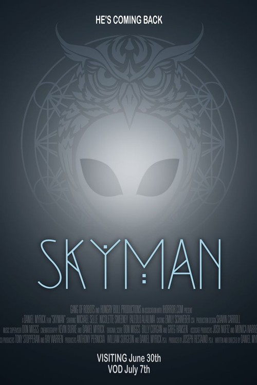 Skyman poster