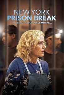 NY Prison Break: The Seduction of Joyce Mitchell - watch free on JTZ Movies