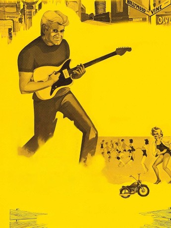 Wild guitar on sale