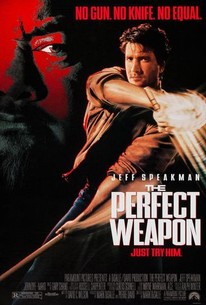 The Perfect Weapon poster
