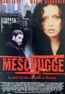 Meschugge poster image