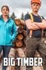Poster for