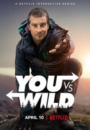 You vs. Wild poster image
