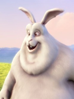 Big buck bunny hotsell