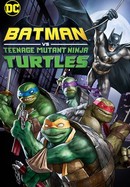 Batman Vs. Teenage Mutant Ninja Turtles poster image