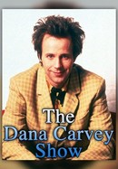 The Dana Carvey Show poster image
