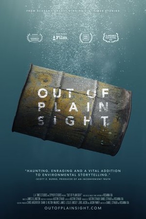 Out of Plain Sight poster