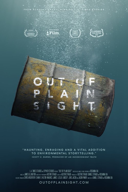 Out of Plain Sight poster