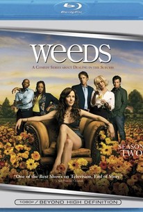 Weeds Season 2 Episode 10 Rotten Tomatoes